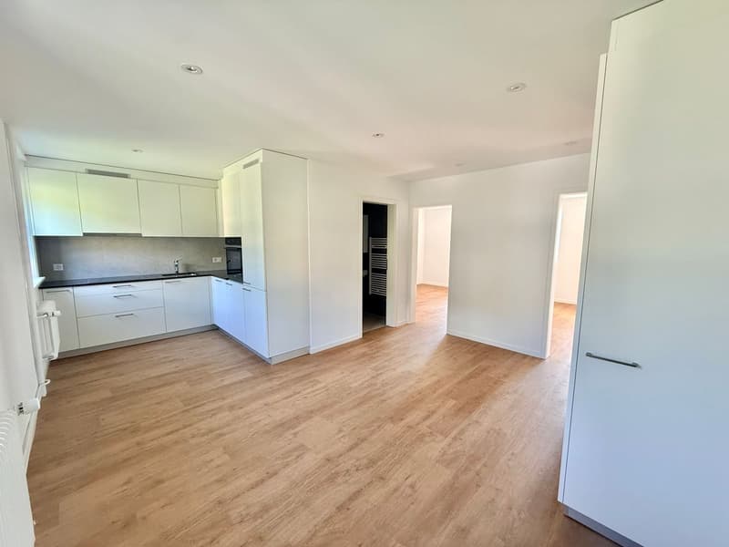 Magnificent 2.5-room apartment completely renovated - modern setting with unobstructed view (4)