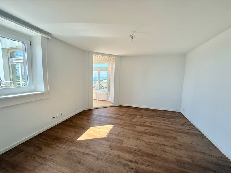 Magnificent 2.5-room apartment completely renovated - modern setting with unobstructed view (6)