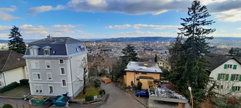 Magnificent 2.5-room apartment completely renovated - modern setting with unobstructed view (1)