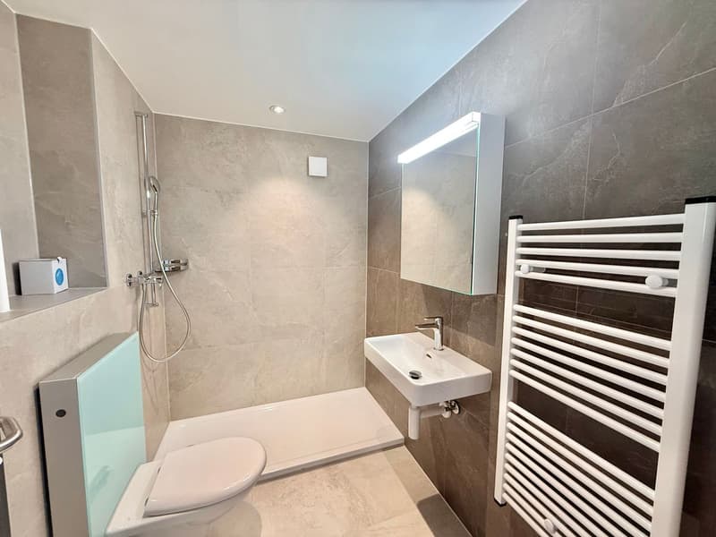 Magnificent 2.5-room apartment completely renovated - modern setting with unobstructed view (9)