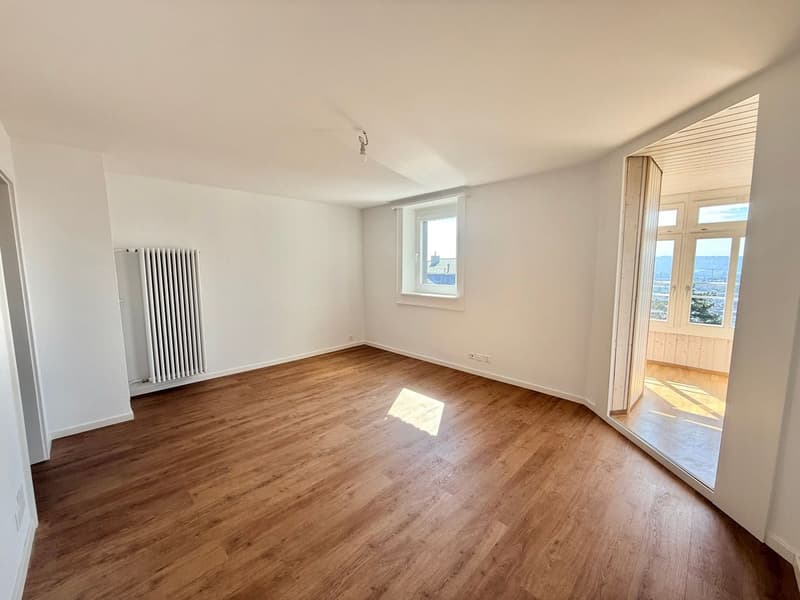 Magnificent 2.5-room apartment completely renovated - modern setting with unobstructed view (7)