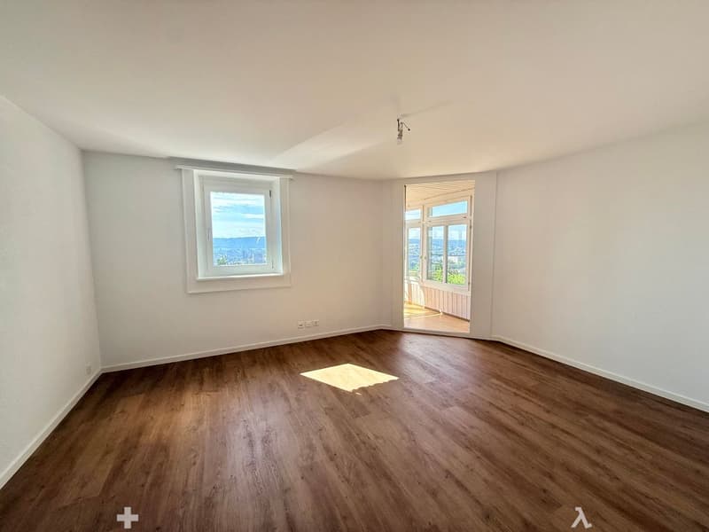 Prachtvolle 2.5-Zimmer-Wohnung komplett renoviert - modernes Ambiente mit freier Sicht (5)