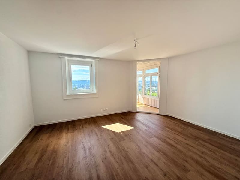 Magnificent 2.5-room apartment completely renovated - modern setting with unobstructed view (5)