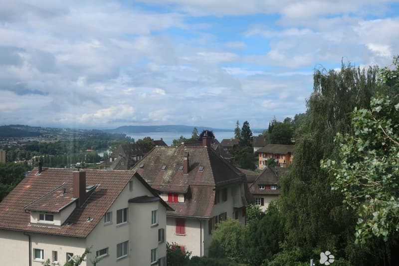 Prachtvolle 2.5-Zimmer-Wohnung komplett renoviert - modernes Ambiente mit freier Sicht (2)