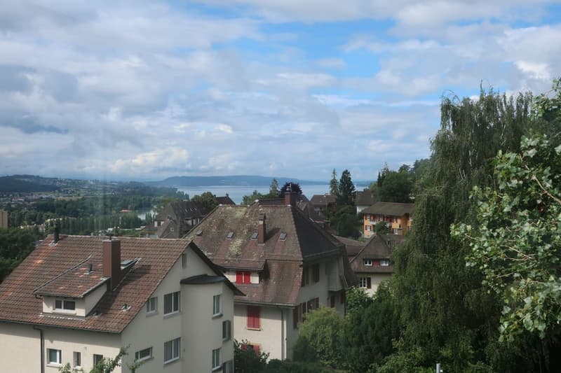 Magnificent 2.5-room apartment completely renovated - modern setting with unobstructed view (2)