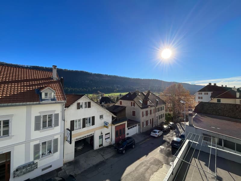 Beautiful bright 3-room apartment with balcony and elevator (6)