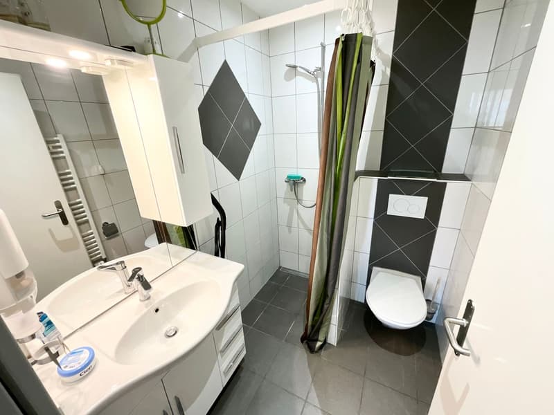 Super apartment with 2 rooms (4)