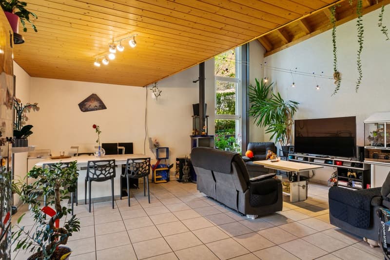 Charming individual house with large garden and open view (9)