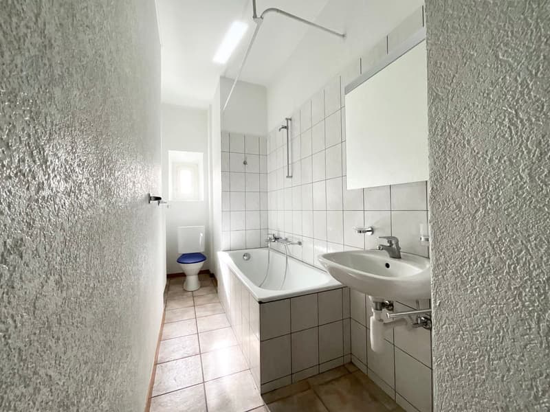 Three-room apartment with 1 large balcony (8)