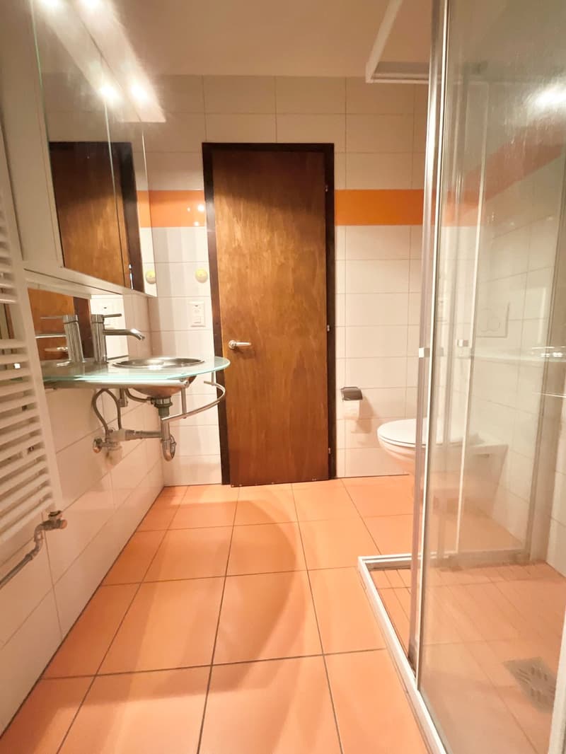 Vous aimez les logements avec cachet ? Ce bien est pour vous ! (4)