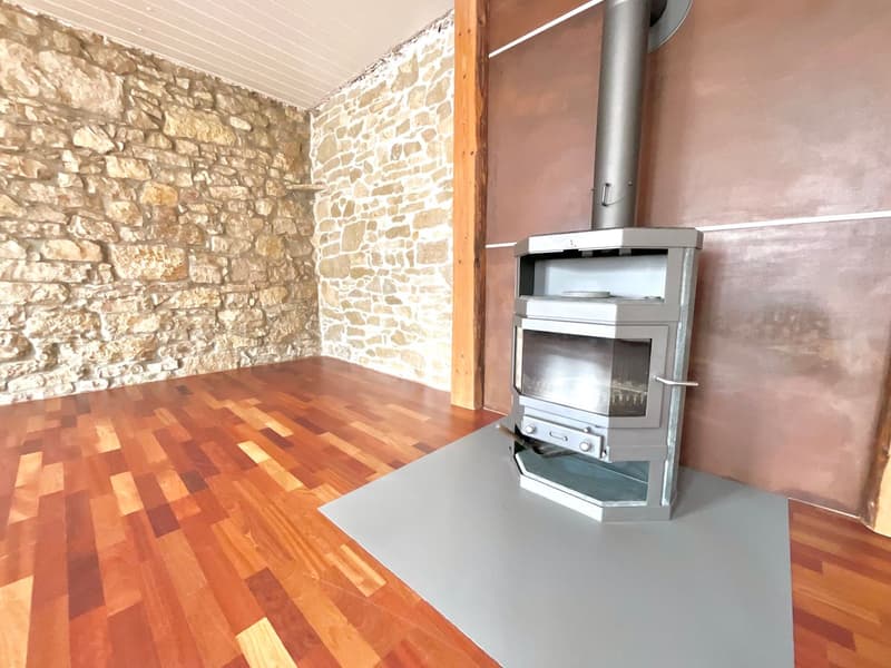 Vous aimez les logements avec cachet ? Ce bien est pour vous ! (3)