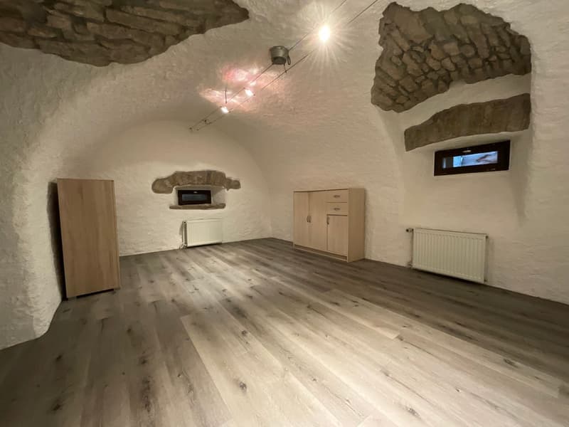 Vous aimez les logements avec cachet ? Ce bien est pour vous ! (6)