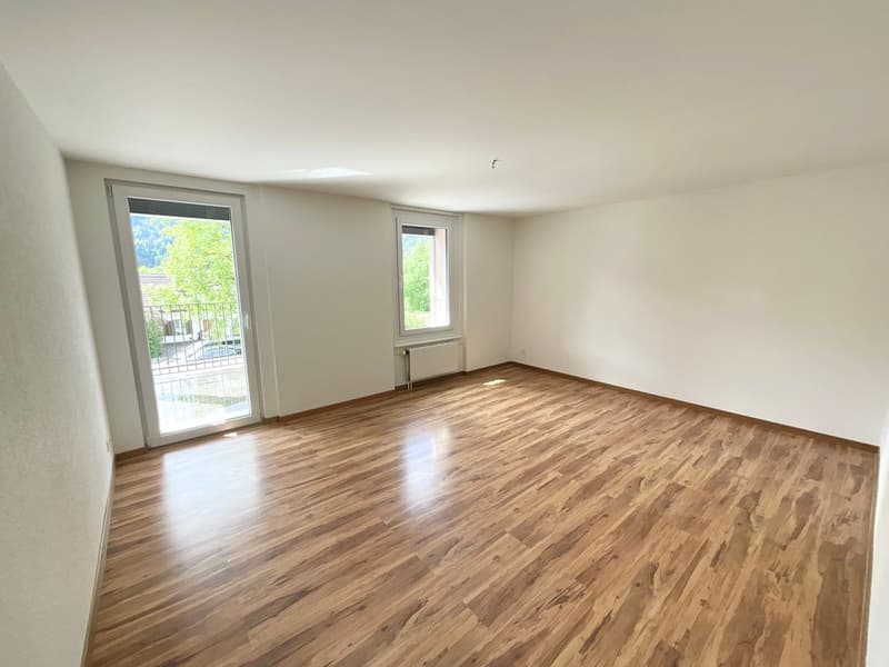 Appartamento ristrutturato di 3 locali con terrazza e vista aperta (3)