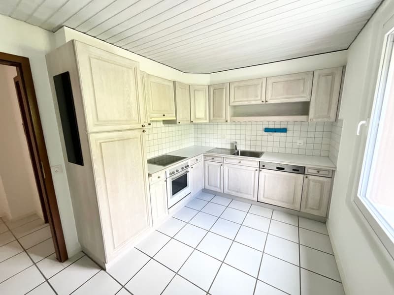 Appartamento ristrutturato di 3 locali con terrazza e vista aperta (1)