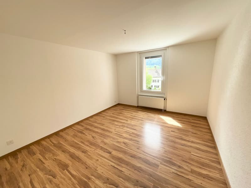 Appartamento ristrutturato di 3 locali con terrazza e vista aperta (5)