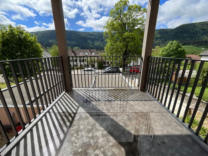 Appartamento ristrutturato di 3 locali con terrazza e vista aperta (4)