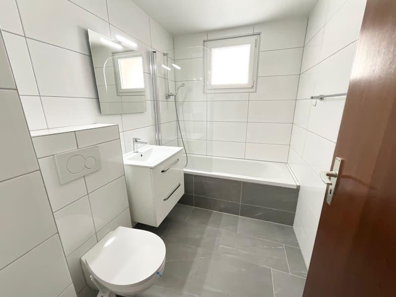 Appartamento ristrutturato di 3 locali con terrazza e vista aperta (2)