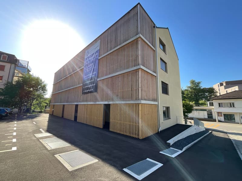 Appartamenti nuovi di 3.5 locali con loggia - Edificio moderno e ecologico nel cuore del villaggio (8)