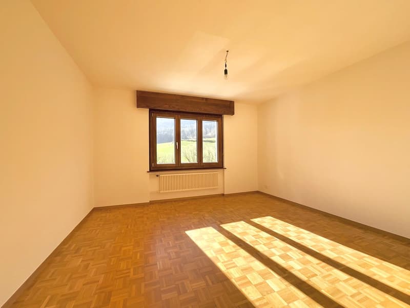 Bel appartamento luminoso di 3,5 locali con balcone (6)