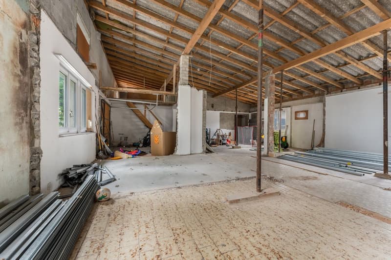 Locali artigianali e garage (3)