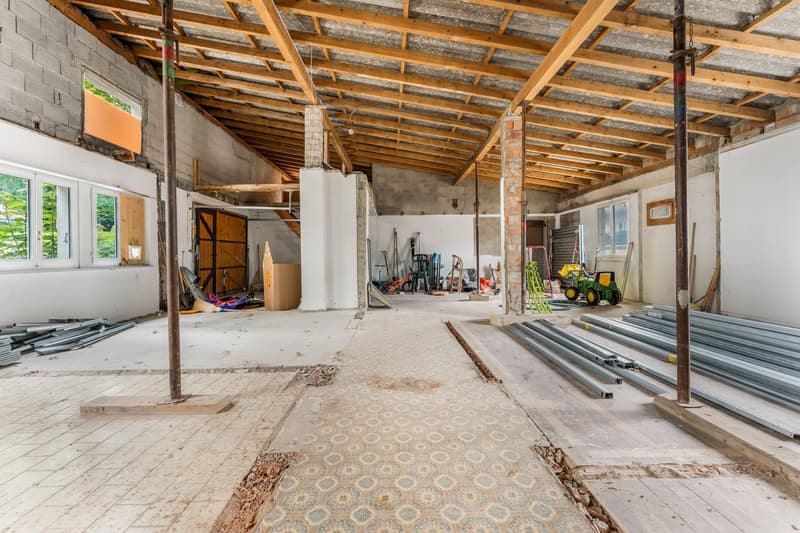 Locali artigianali e garage (4)
