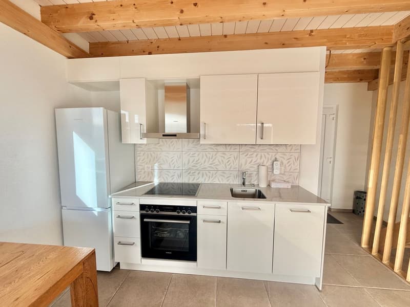 Monolocale in duplex in un ambiente naturale privilegiato (2)