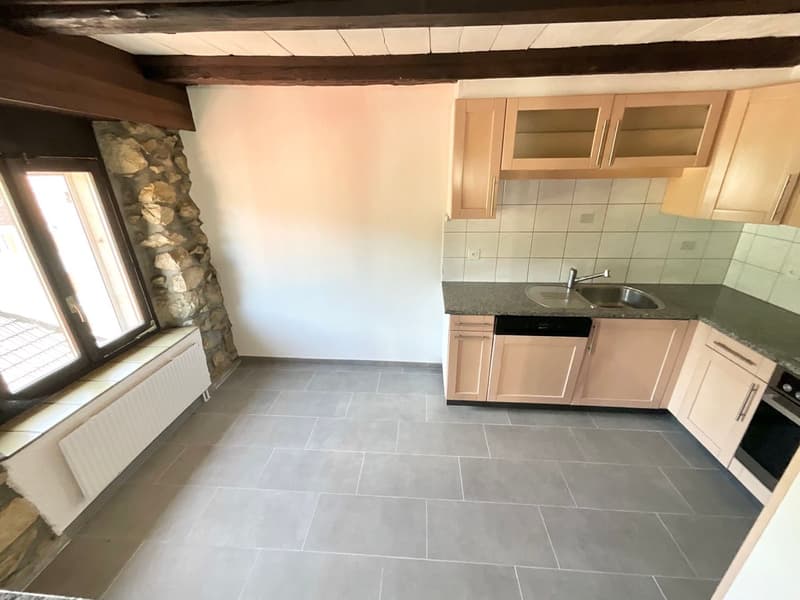 Spacious 4.5-room apartment renovated (2)