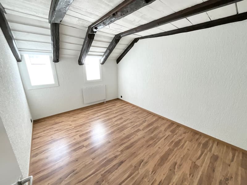 Spacious 4.5-room apartment renovated (6)