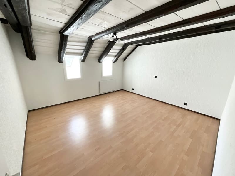 Spacious 4.5-room apartment renovated (8)