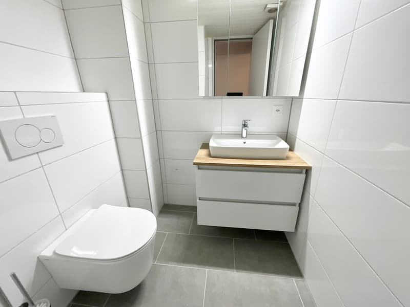 Spacious 4.5-room apartment renovated (5)