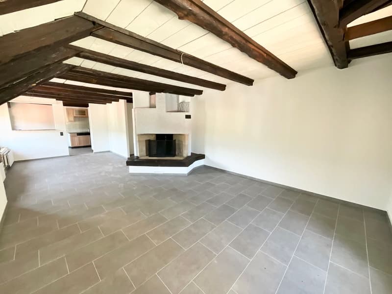 Spacious 4.5-room apartment renovated (3)