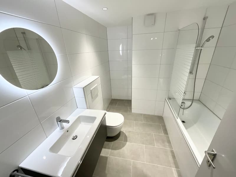 Spacious 4.5-room apartment renovated (4)