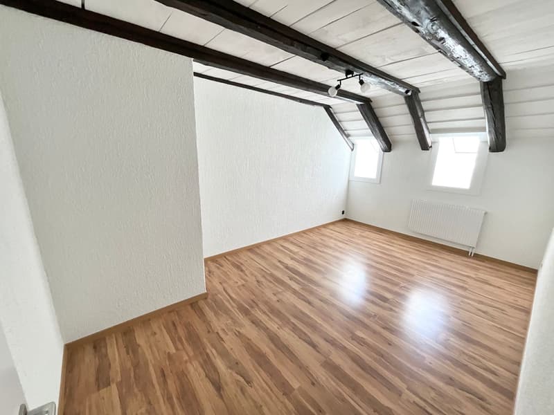 Spacious 4.5-room apartment renovated (7)
