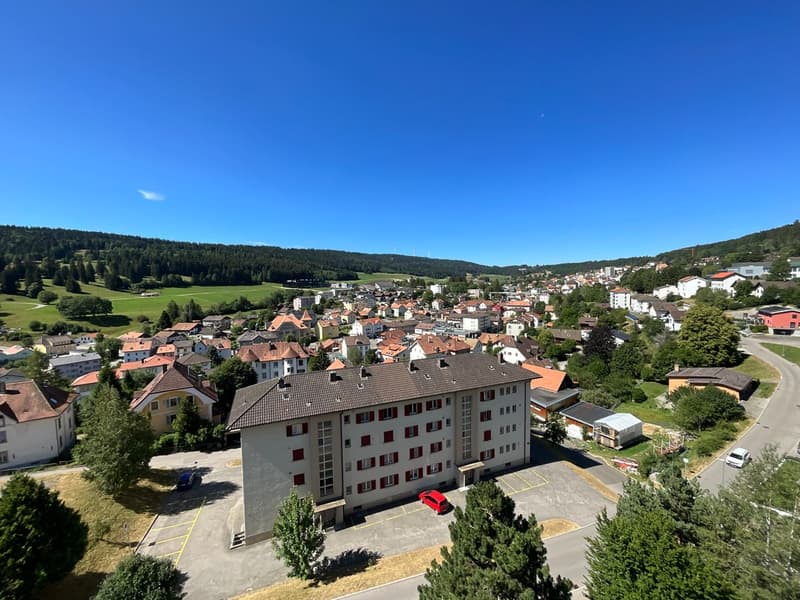 Bright 3-room apartment with panoramic view (4)
