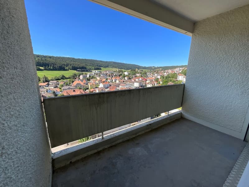Bright 3-room apartment with panoramic view (3)