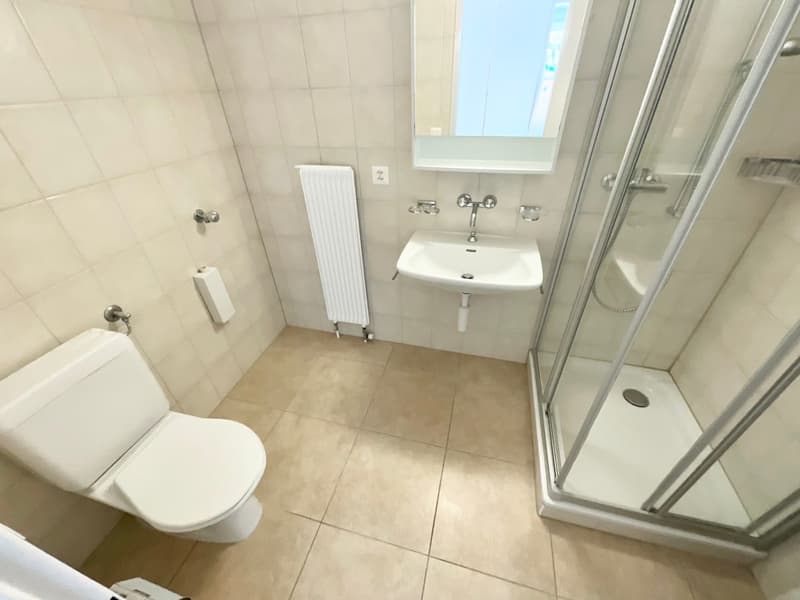 Bright 3-room apartment with panoramic view (8)