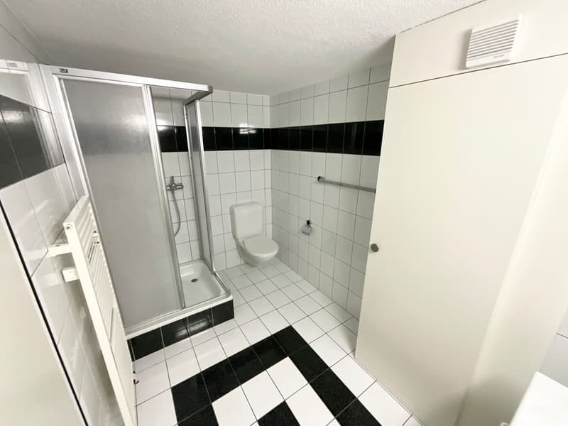 Duplex-Wohnung mit 5.5 Zimmern und Balkon (7)