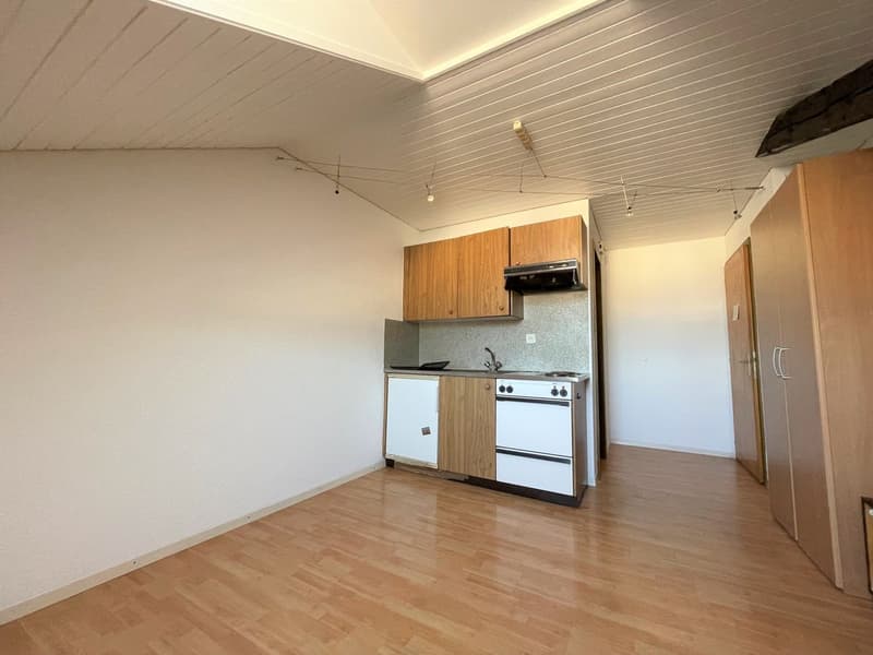Studio in the heart of Delémont's old town (3)