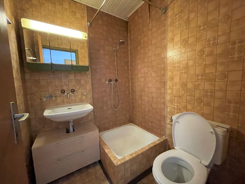 Studio in the heart of Delémont's old town (4)