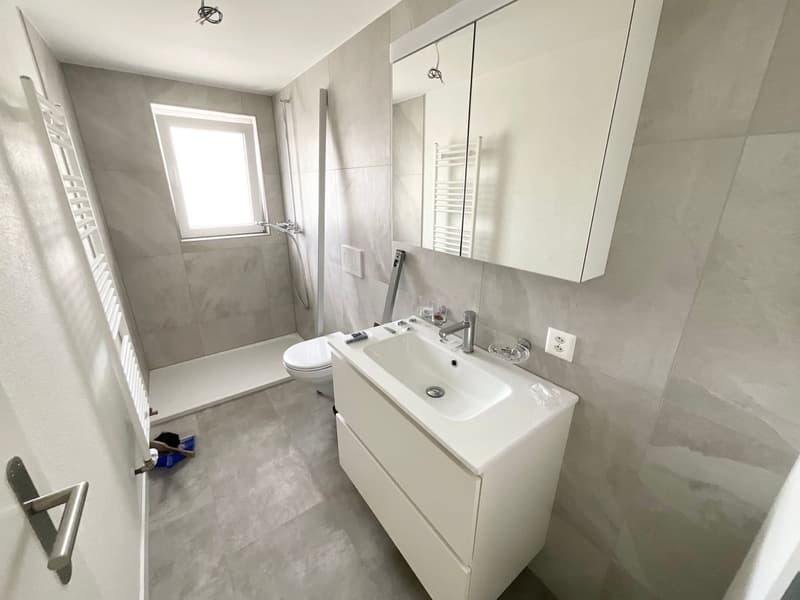 New 3-room apartment with large terrace (4)