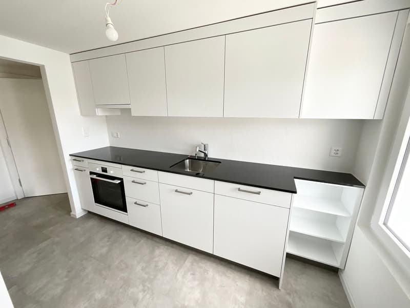New 3-room apartment with large terrace (2)