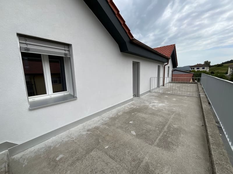 New 3-room apartment with large terrace (7)