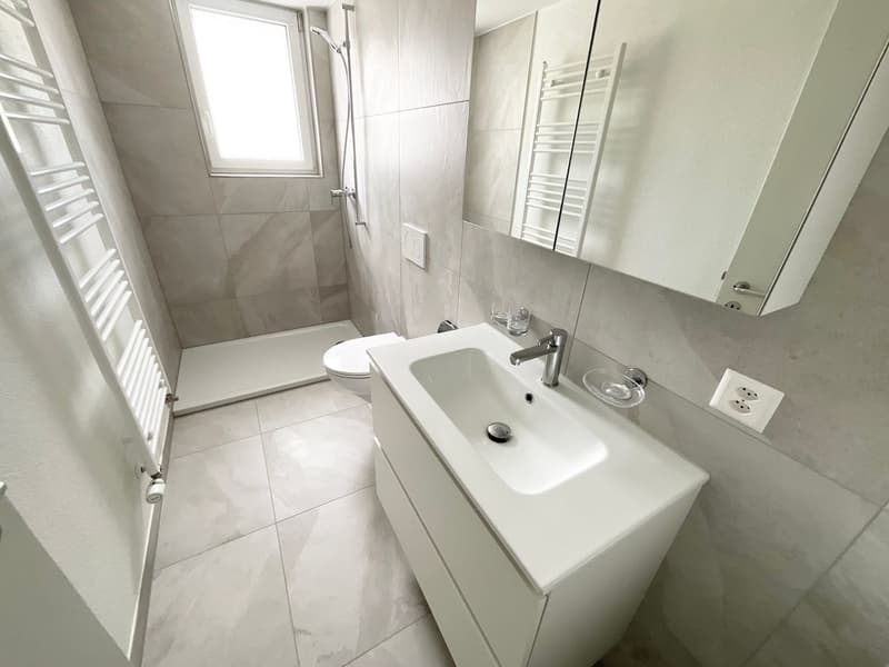 Renovated 3-room apartment with private terrace (5)