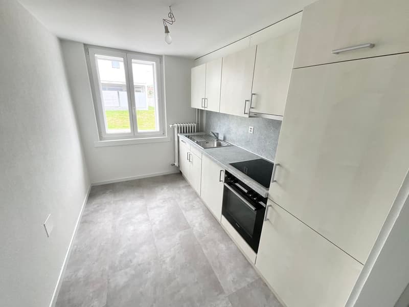 Renovated 3-room apartment with private terrace (2)