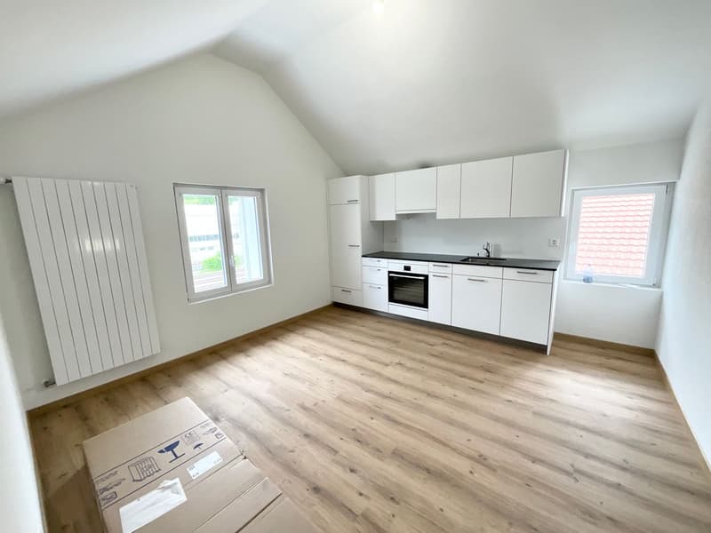 Charming 3.5-room new apartment with large terrace (2)