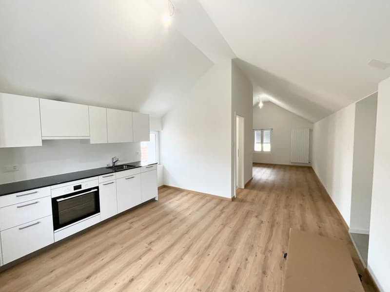 Charming 3.5-room new apartment with large terrace (3)