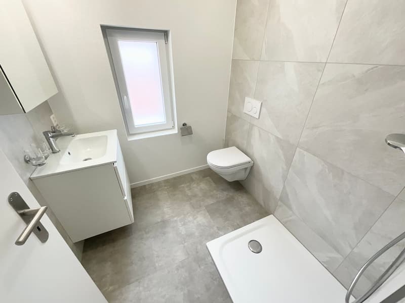 Charming 3.5-room new apartment with large terrace (6)