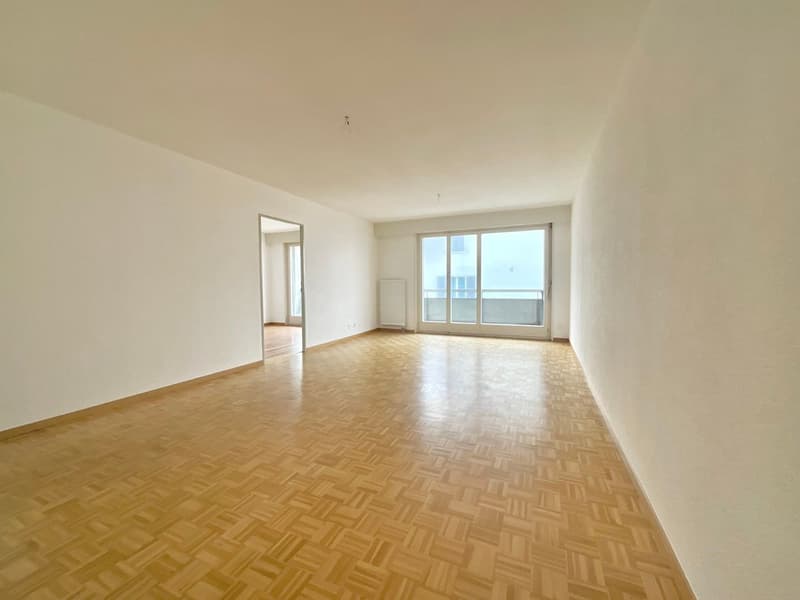 Incantevole appartamento di 3.5 locali con balcone (7)