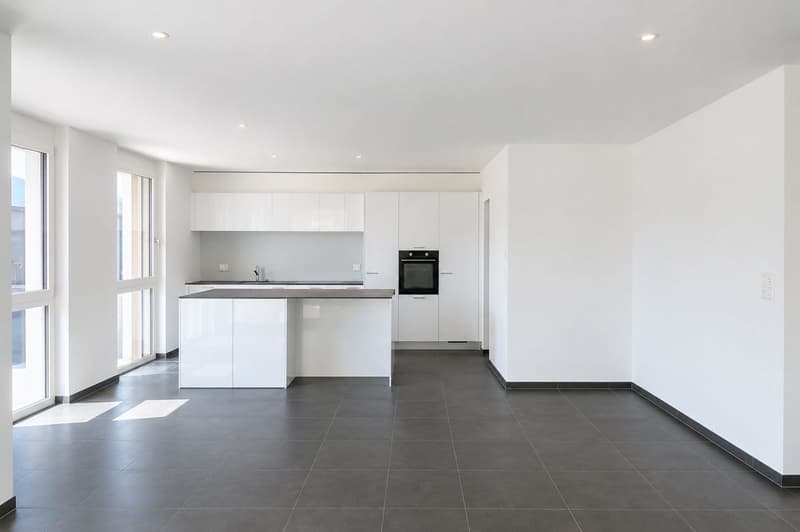 Spacious 4.5-room apartment with large terrace (1)