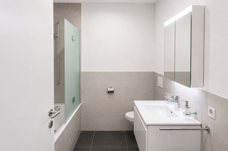 Spacious 4.5-room apartment with large terrace (4)